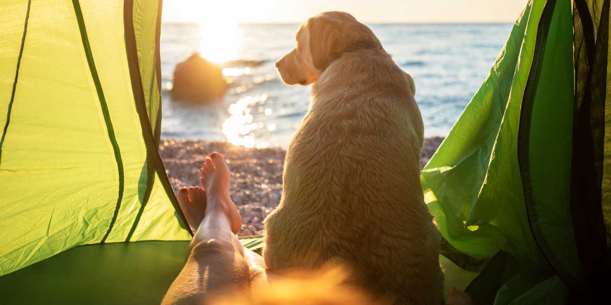 Garten & Camping