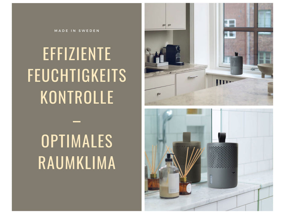 Absodry Duo Family Series 6 Grau für Räume bis 50m² Luftentfeuchter ohne Strom