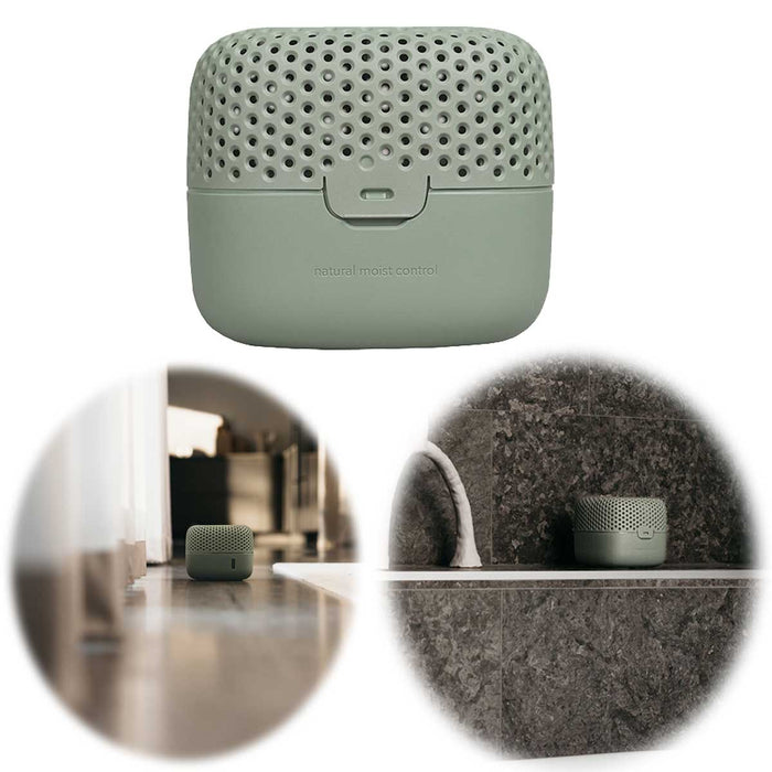 Absodry Duo Family Series 3 Grün für Räume bis 30m² Luftentfeuchter ohne Strom