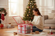 Aufbewahrungsbox Organizer 27 Weihnachtskugeln Ø 10cm Christbaumkugeln
