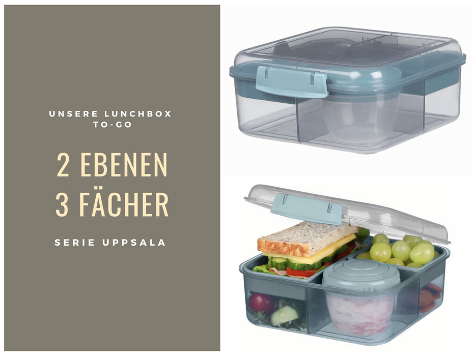 Bento Box Lunchbox Kunststoff Blau 3 Fächer 2 Ebenen Frühstücksbox Brotdose