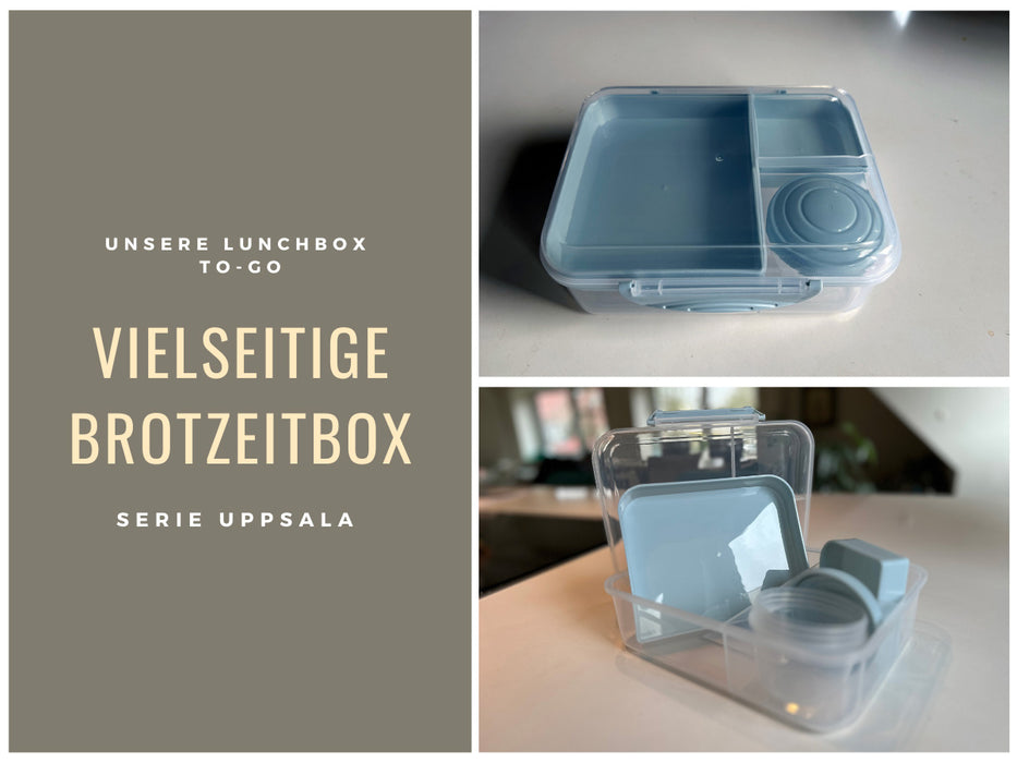 Bento Box Lunchbox Kunststoff Blau 3 Fächer 2 Ebenen Frühstücksbox Brotdose