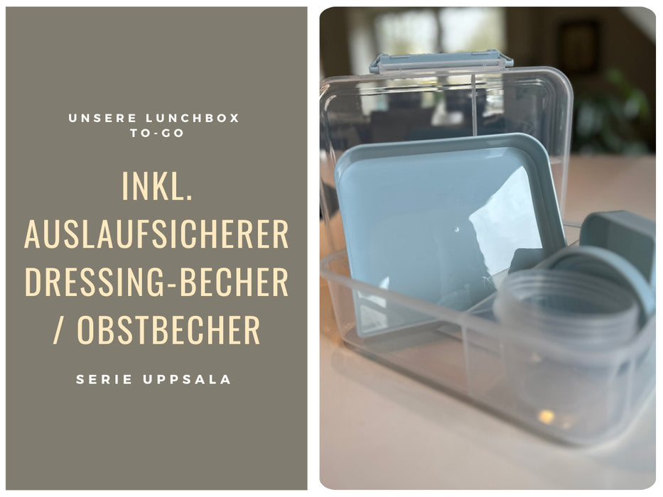 Bento Box Lunchbox Kunststoff Blau 3 Fächer 2 Ebenen Frühstücksbox Brotdose