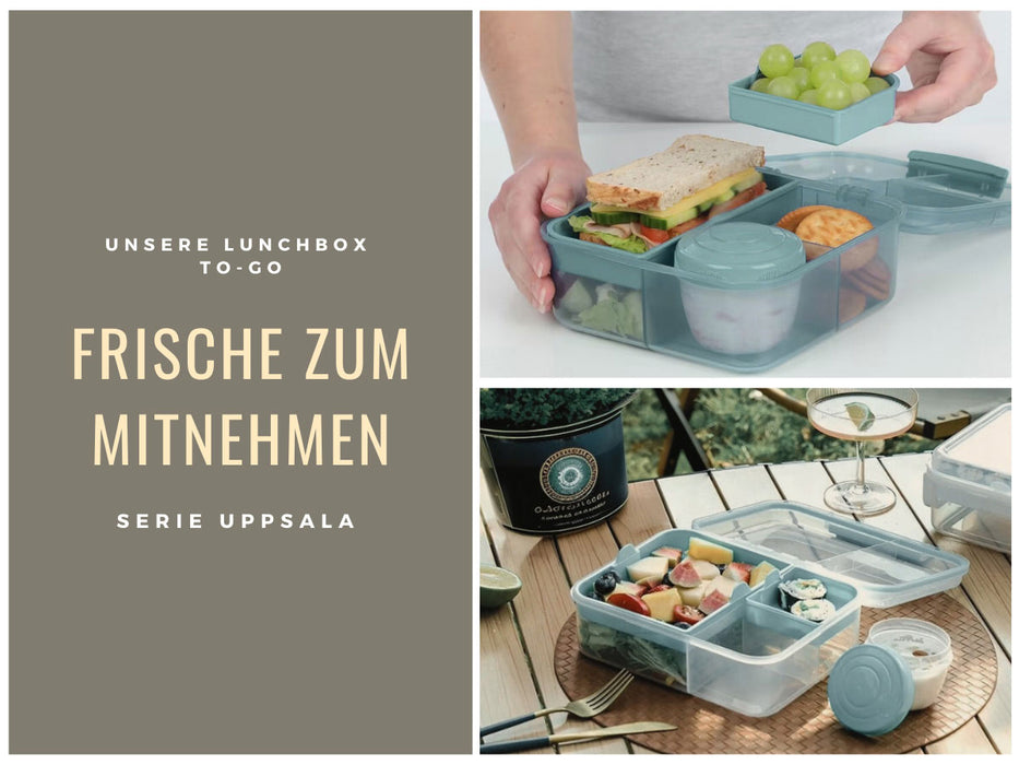 Bento Box Lunchbox Kunststoff Blau 3 Fächer 2 Ebenen Frühstücksbox Brotdose