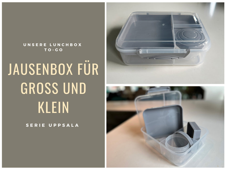 Bento Box Lunchbox Kunststoff Grau 3 Fächer 2 Ebenen Frühstücksbox Brotdose
