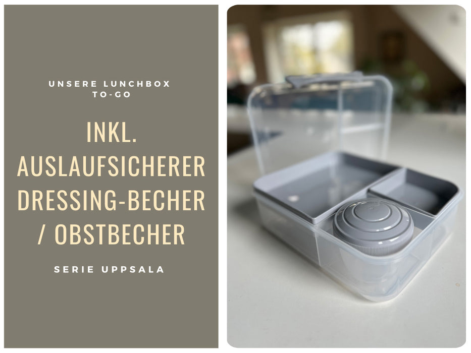 Bento Box Lunchbox Kunststoff Grau 3 Fächer 2 Ebenen Frühstücksbox Brotdose