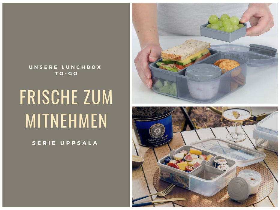 Bento Box Lunchbox Kunststoff Grau 3 Fächer 2 Ebenen Frühstücksbox Brotdose
