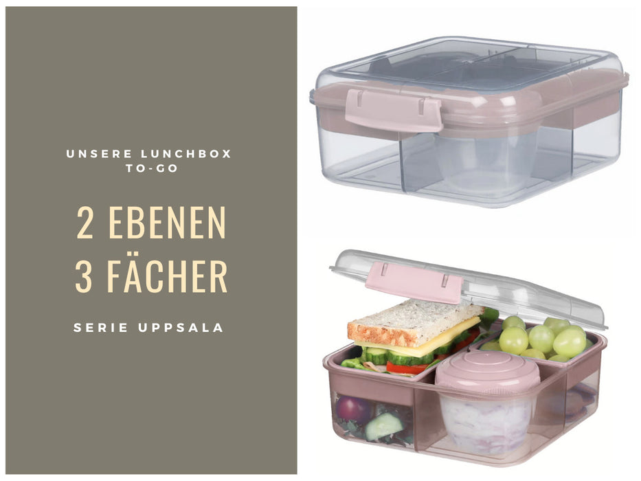 Bento Box Lunchbox Kunststoff Rosa 3 Fächer 2 Ebenen Frühstücksbox Brotdose