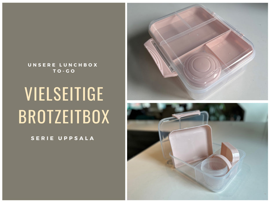 Bento Box Lunchbox Kunststoff Rosa 3 Fächer 2 Ebenen Frühstücksbox Brotdose
