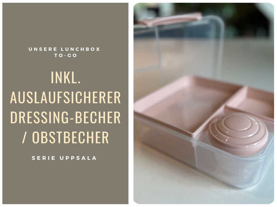 Bento Box Lunchbox Kunststoff Rosa 3 Fächer 2 Ebenen Frühstücksbox Brotdose