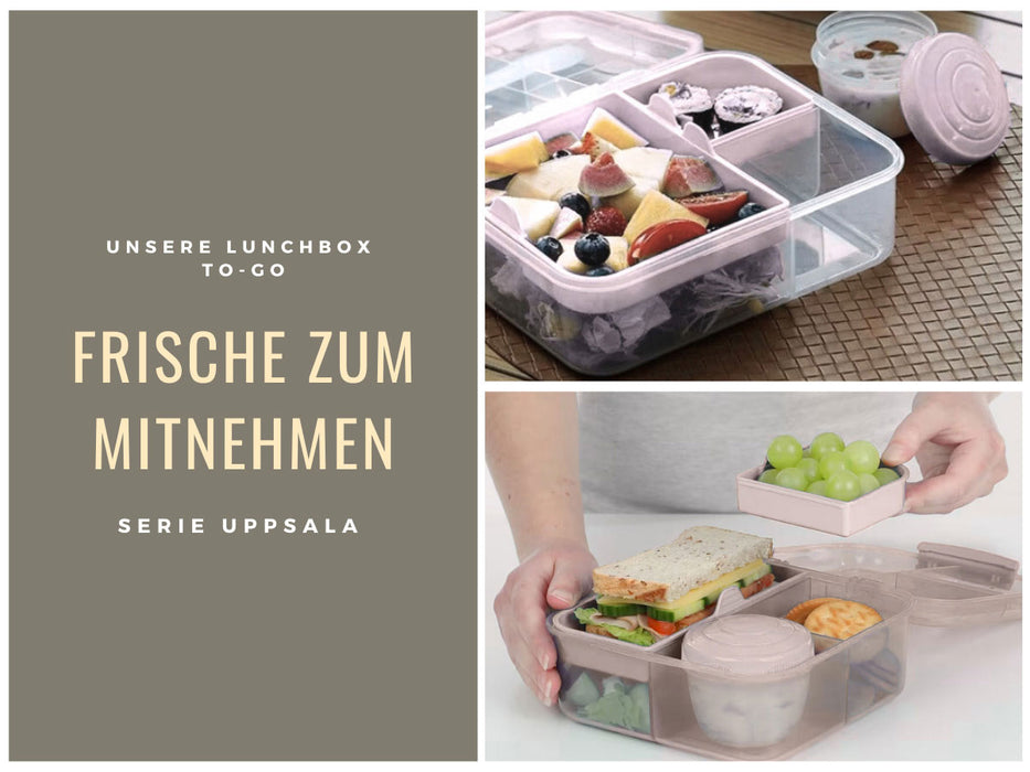 Bento Box Lunchbox Kunststoff Rosa 3 Fächer 2 Ebenen Frühstücksbox Bro — LS-LebenStil