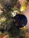 4 Glas Weihnachtskugeln 8cm Gold Edition Schwarz Weiß Christbaum Dekokugel