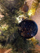 4 Glas Weihnachtskugeln 8cm Gold Edition Schwarz Weiß Christbaum Dekokugel