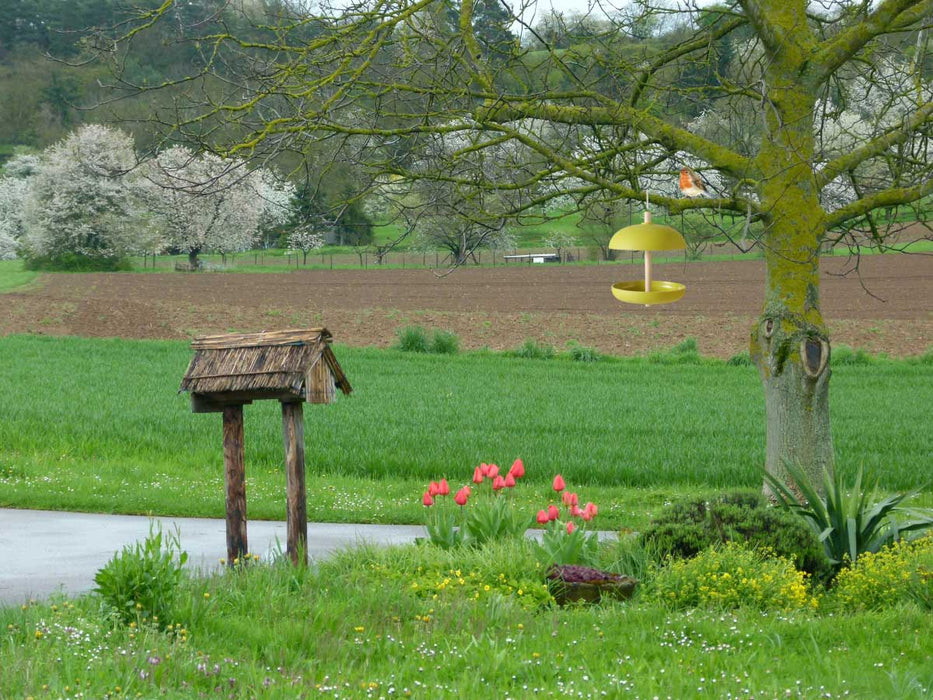 Vogel Futterstation Fressbar Grün Kunstharz Vogel-Futterhaus zum Aufhängen