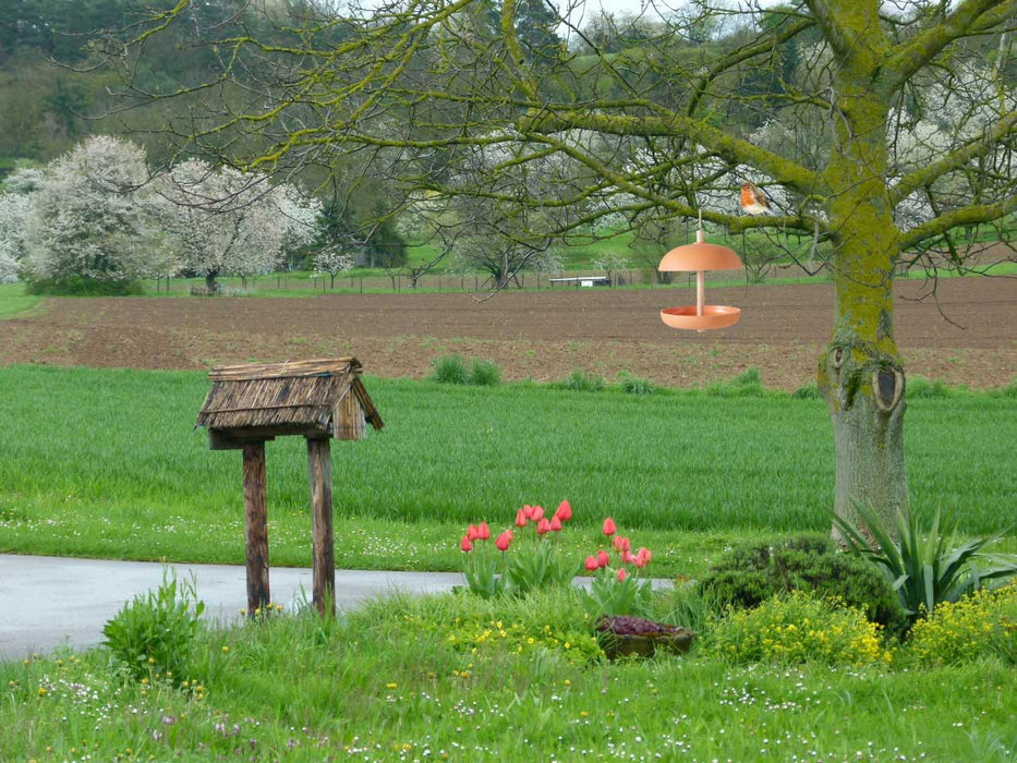 Vogel Futterstation Fressbar Orange Kunstharz Vogel-Futterhaus zum Aufhängen