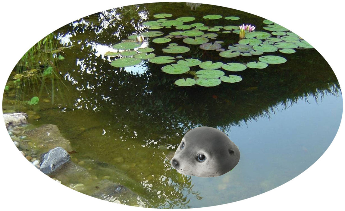 Gartenteich Schwimmtier Robbe 17cm Seehund Kopf Garten-Figur Teich-Deko