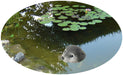 Gartenteich Schwimmtier Robbe 17cm Seehund Kopf Garten-Figur Teich-Deko