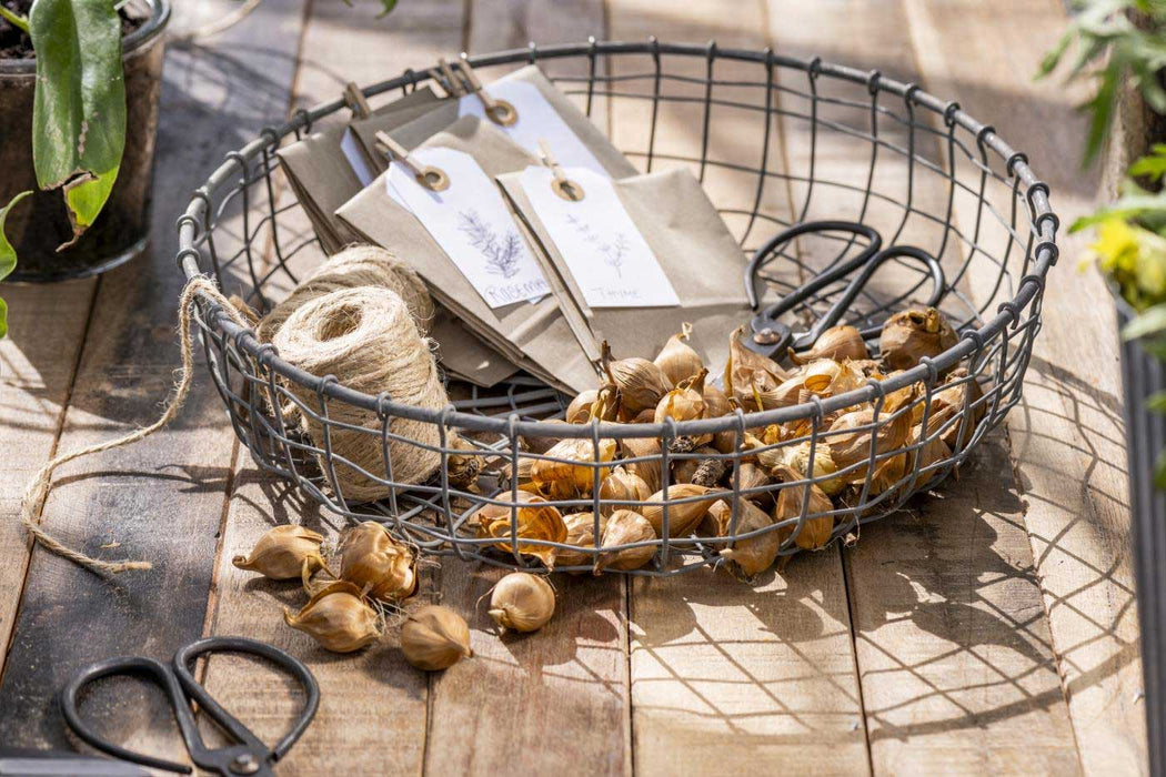 IB Laursen Vintage Schere 10cm Handgeschmiedet Klassisch Antike Papierschere