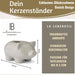 KI-generiertes Bild,Exklusiver Kerzenständer Schweinchen 10cm Stabkerzen-Kerzenhalter Kerzenleuchter