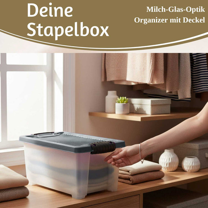 Stapelbox Allzweckbox 30x20x15cm ♻️ mit Deckel Transportbox Stapelkiste