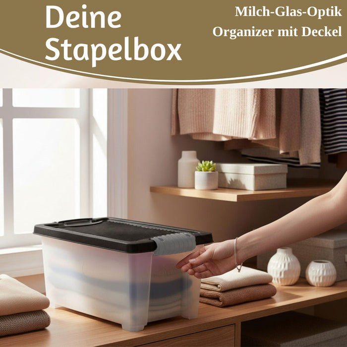 Stapelbox Allzweckbox 30x20x15cm ♻️ mit Deckel Transportbox Stapelkiste