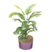 KI-generiertes Bild,Seegras Blumentopf Übertopf Palma 33cm Flieder Pflanztopf Aufbewahrungskorb