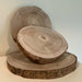 KI-generiertes Bild,XL Rindenbrett Baumscheibe Rund Holz Ø 28-34cm Astscheibe Rindenscheibe