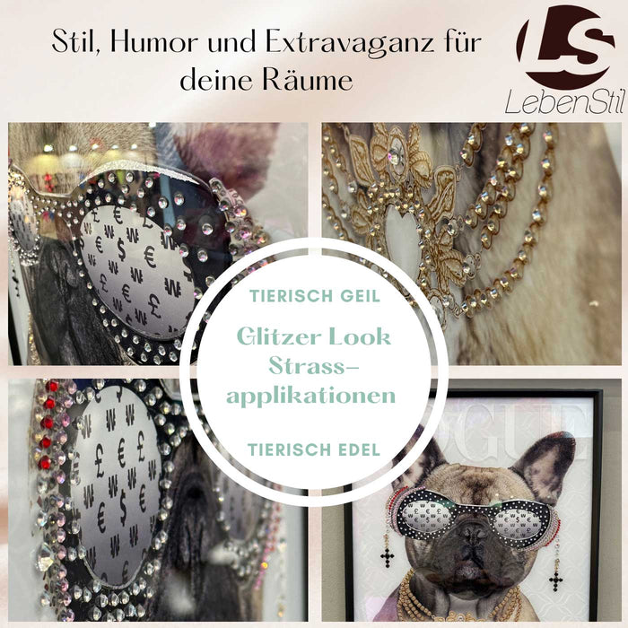 Wandbild französische Bulldogge 40x60cm Vogue Diamant Natur Kunstdruck Leinwand
