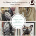 Wandbild französische Bulldogge 40x60cm Vogue Diamant Natur Kunstdruck Leinwand