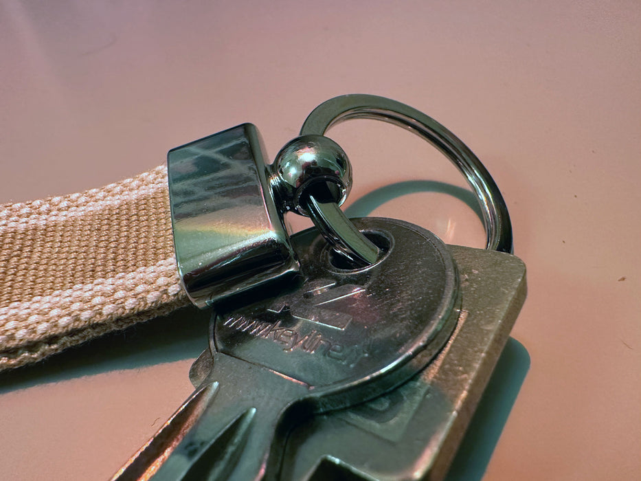 KI-generiertes Bild,Exklusiver Schlüsselanhänger Goldstück Schlüsselring Silber Schlüsselbund