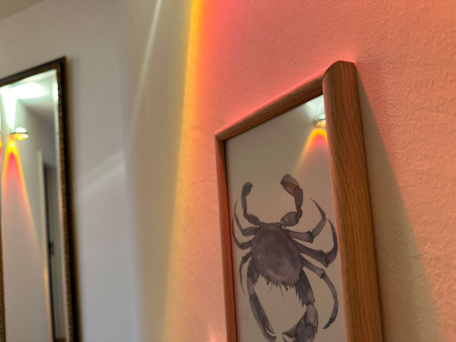 Vintage Wandbild Sylt Motiv Krebs 20x28cm Holzrahmen Glas-Scheibe maritime Deko