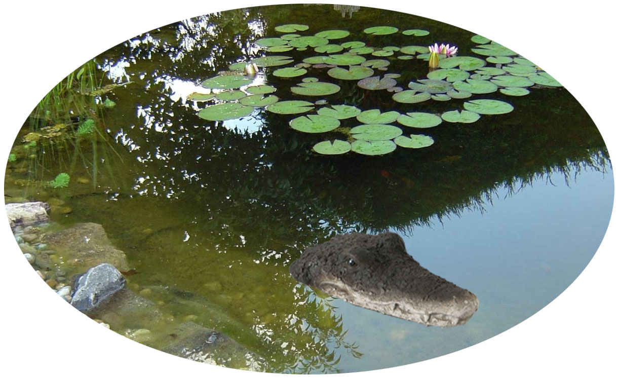 Dekofigur Gartenfigur Schwimmtier Krokodil Kopf Garten Teich